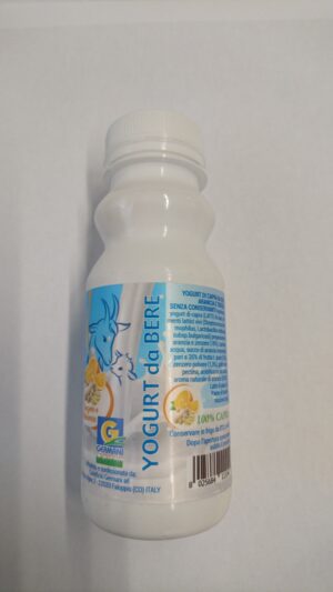 Yogurt da bere di capra arancia e zenzero