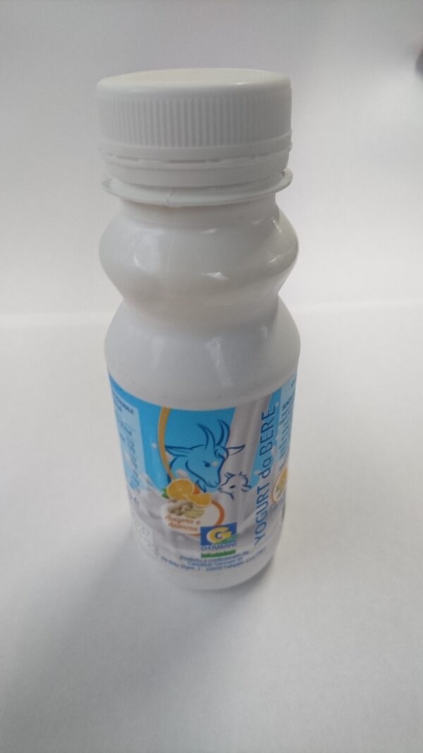 Yogurt da bere di capra arancia e zenzero - immagine 2