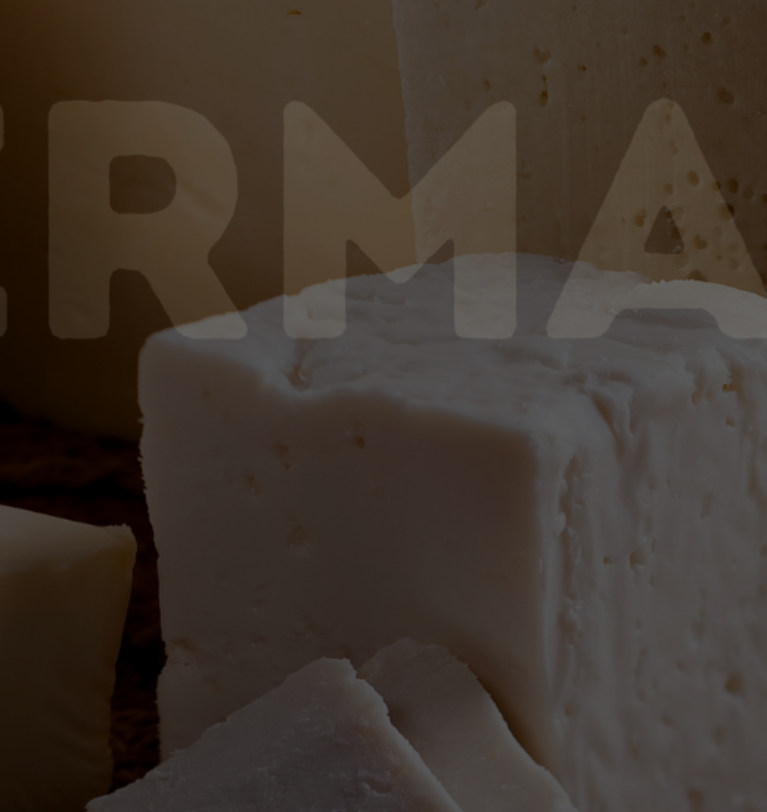 Germani Formaggi: una storia di gusto, persone e passione